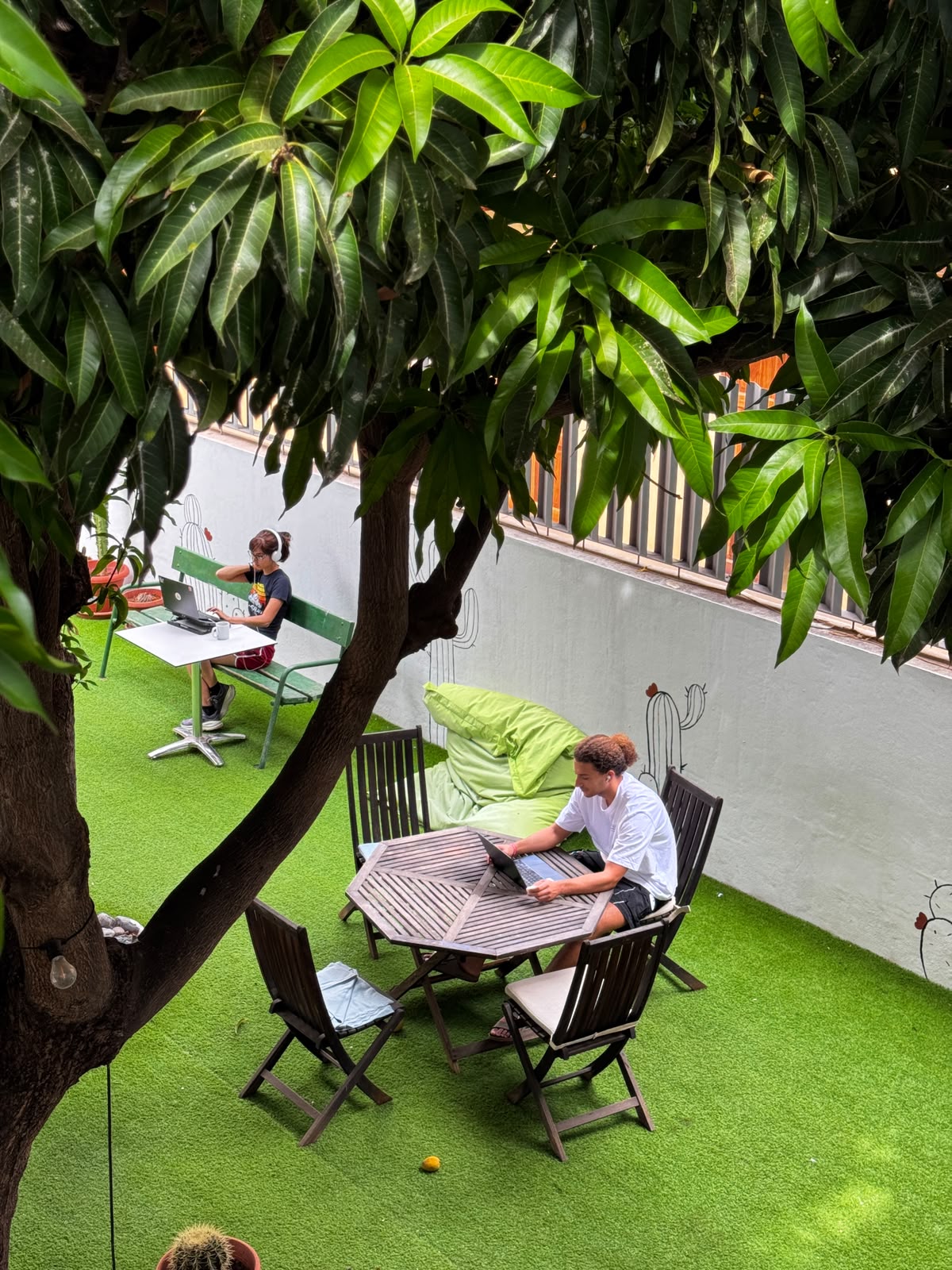 Cactus Coliving, La Gomera