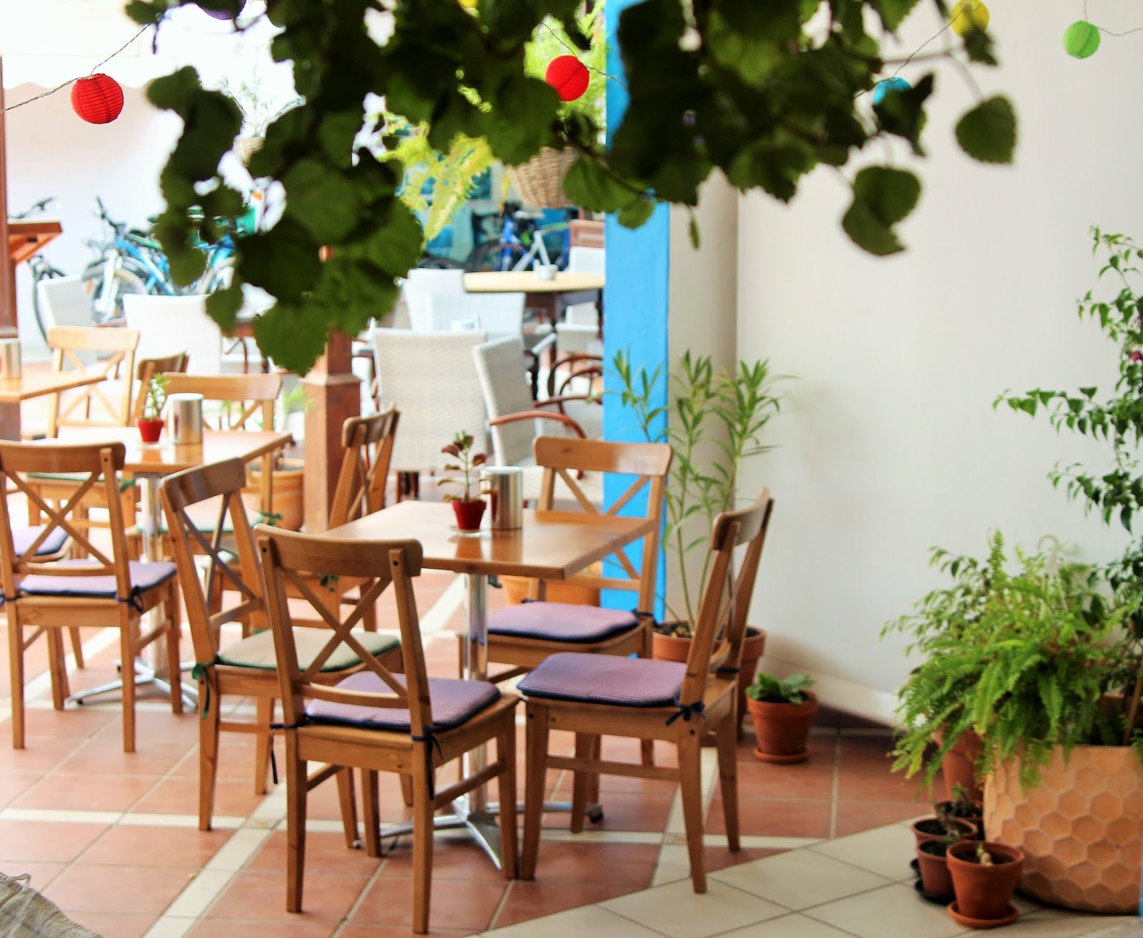 La Carmencita del Puerto, Lanzarote